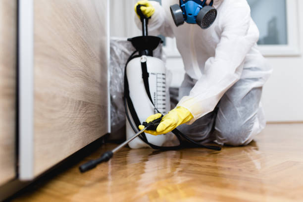 Best Best Pest Control Companies  in Highlandville, MO