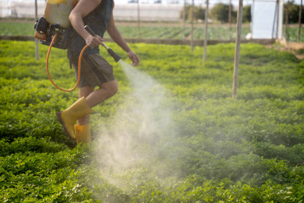 Best Pest Inspection Near Me  in Highlandville, MO