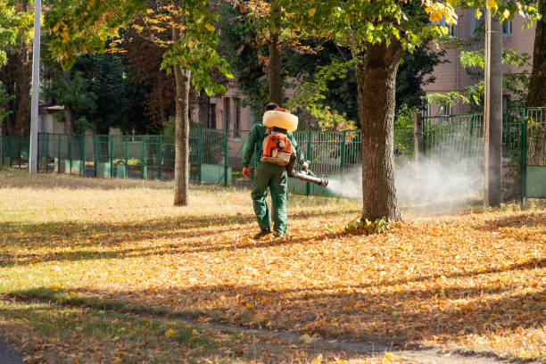 Best Insect Control  in Highlandville, MO
