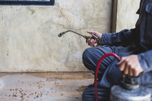 Best Pest Removal Services  in Highlandville, MO