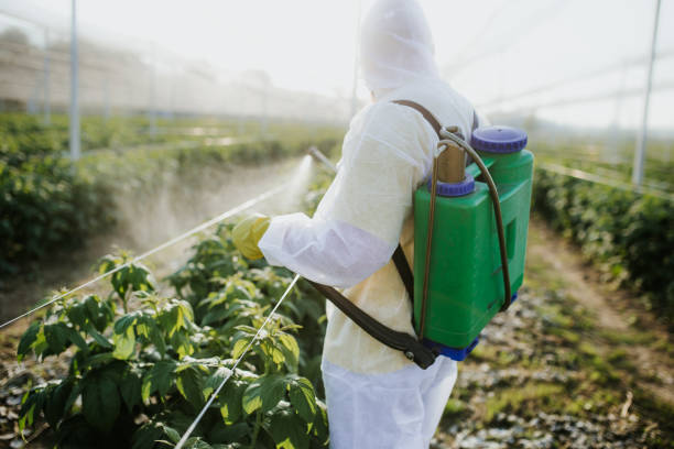 Best Affordable Pest Control Services  in Highlandville, MO